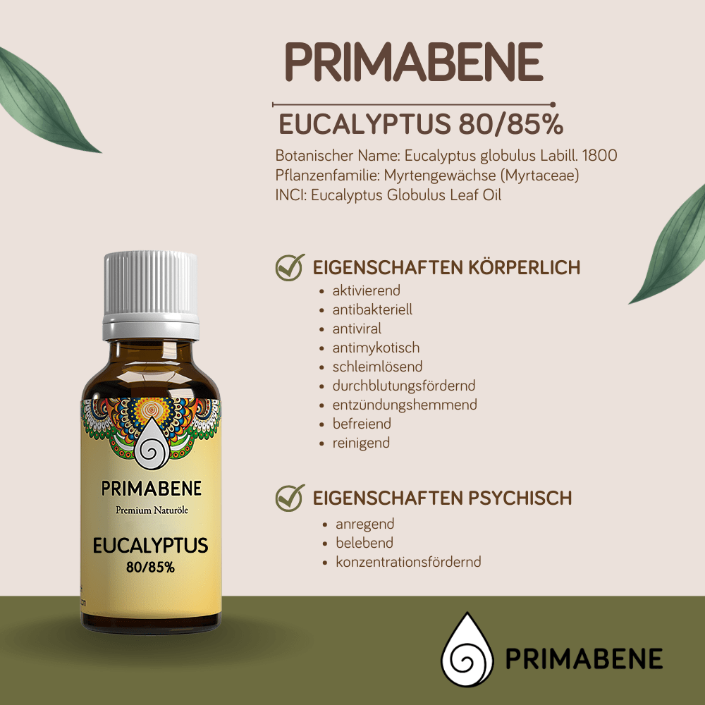 Bild von Eucalyptus, 100% rein ätherisches Öl